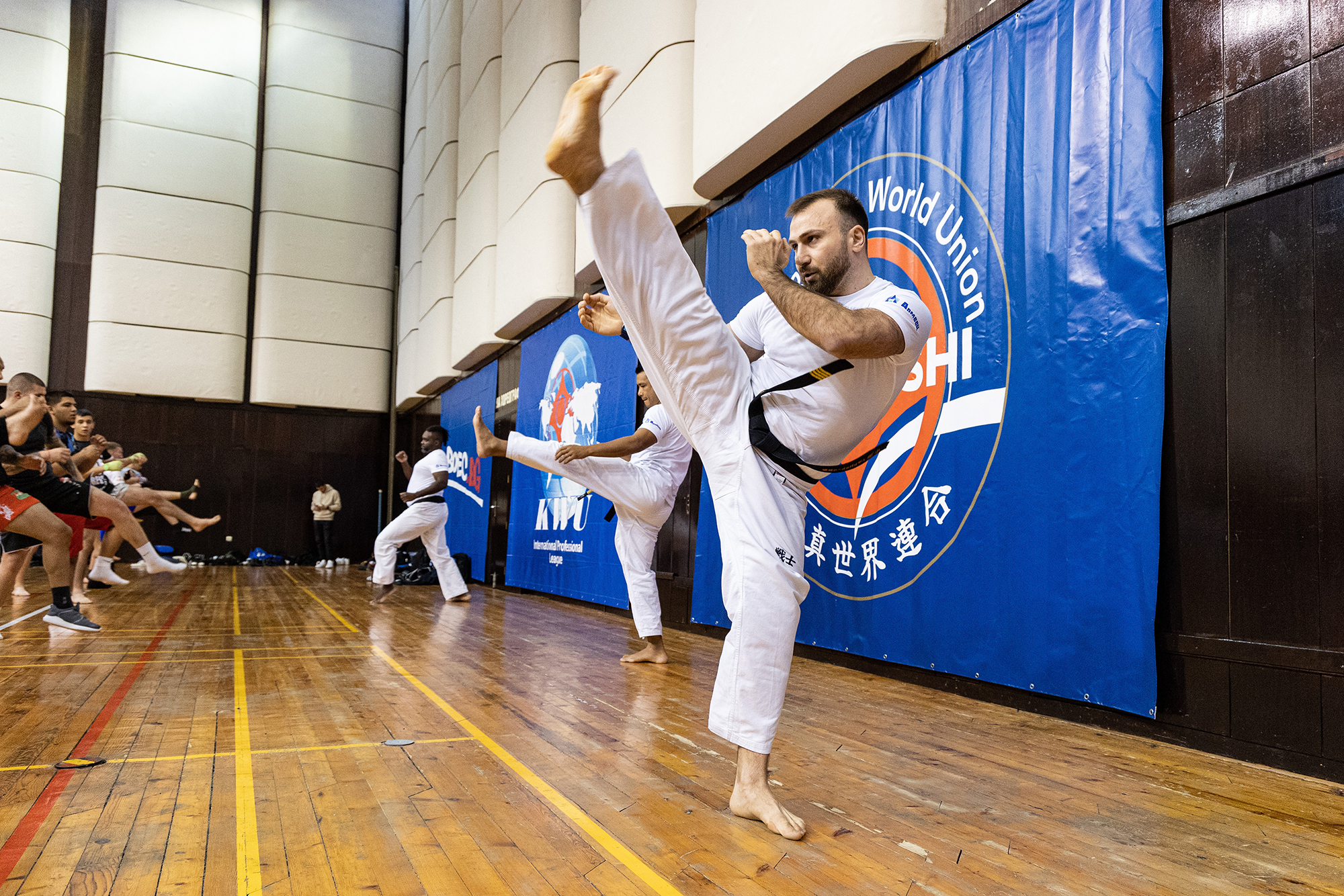 Tariel Nikoleishvili