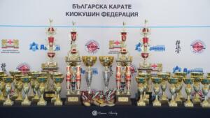 DSC08154 (Копировать)