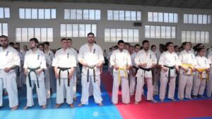 DSC08172 (Копировать)