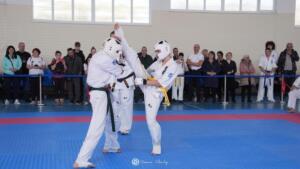 DSC08579 (Копировать)