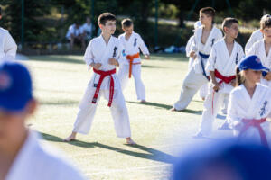 IMG 4174