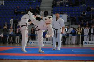 IMG 0118